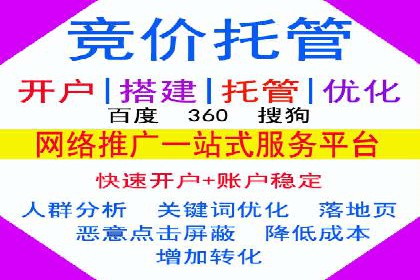 百度优化推广案例：打造行业领先品牌